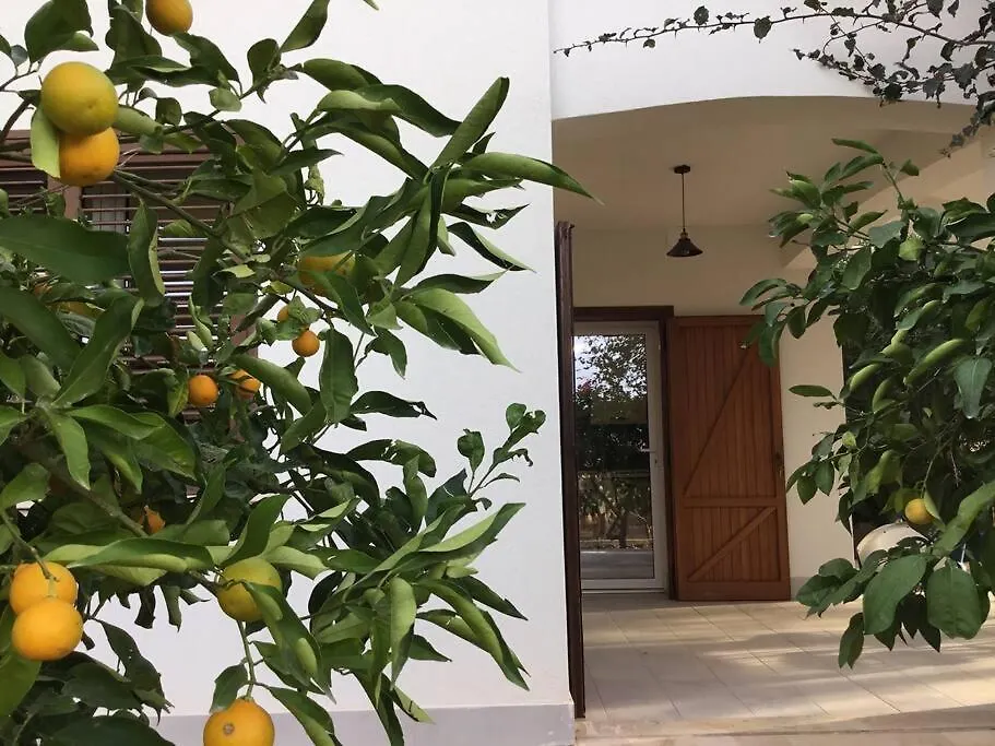 Дом отдыха Casa Amuri Скопелло